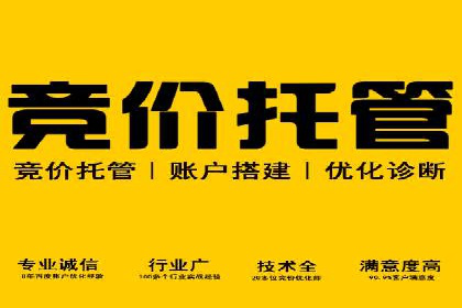 百度竞价包年推广的成效：某公司业务增长案例